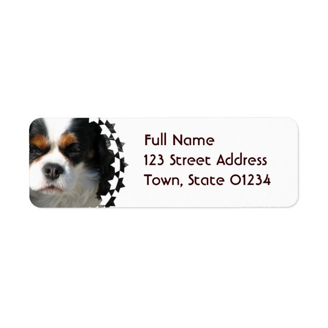 Cavalier Kung Charles Spain Hund e Mailing Label Returadress Etikett (Framsidan)