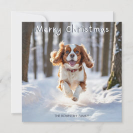 Cavalier Kung Charles Spain Hund God jul Julkort