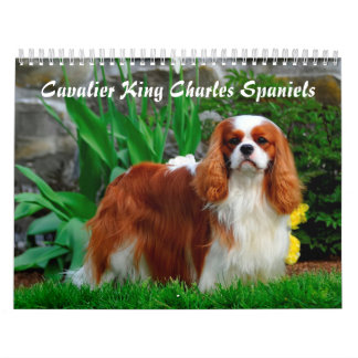 Cavalier Kung Charles Spain Hund Kalender