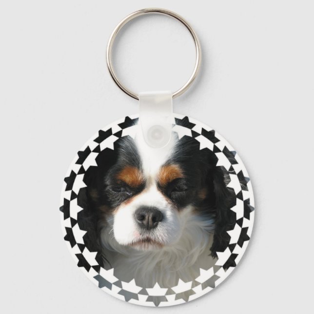 Cavalier Kung Charles Spain Hund Keychain Nyckelring (Framsida)