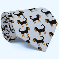 Cavalier Kung Charles Spain Hund