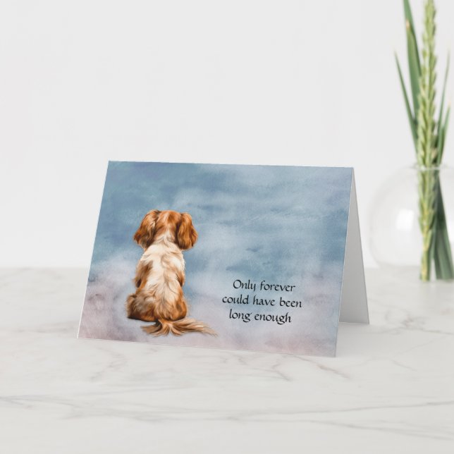Cavalier Kung Charles Spain Hund Sympathy Card Helgkort (Framsida)