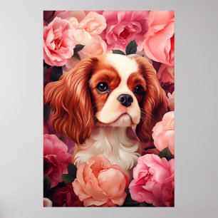 Cavalier Kung Charles Spain i Ro Poster