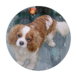Cavalier Kung Charles Spain jul