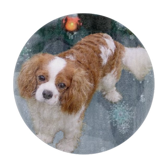 Cavalier Kung Charles Spain jul (Framsidan)