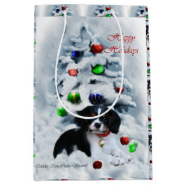 Cavalier Kung Charles Spain jul