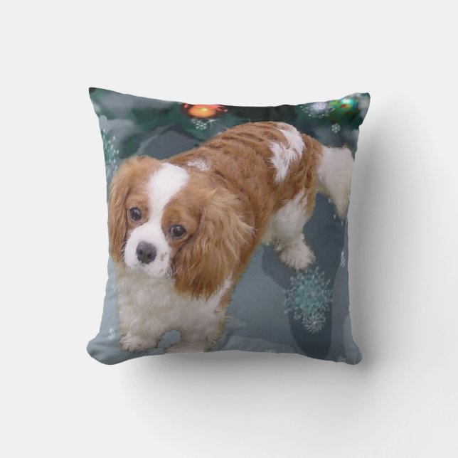 Cavalier Kung Charles Spain jul Kudde (Framsida)