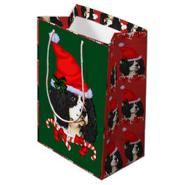 Cavalier Kung Charles Spain jul Merry