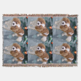 Cavalier Kung Charles Spain jul Mysfilt