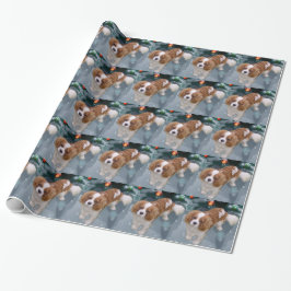 Cavalier Kung Charles Spain jul Presentpapper