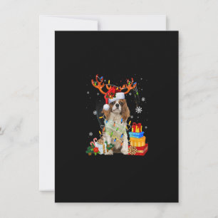 Cavalier Kung Charles Spain jul Reindeer S Inbjudningar