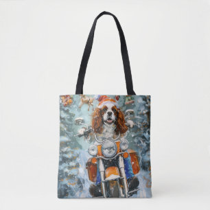Cavalier Kung Charles Spain jul Tygkasse