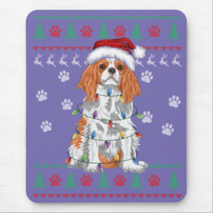 Cavalier Kung Charles Spain jul Ugly Sweat Musmatta