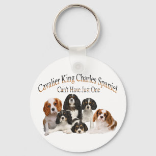 Cavalier Kung Charles Spain kan inte bara ha en Nyckelring