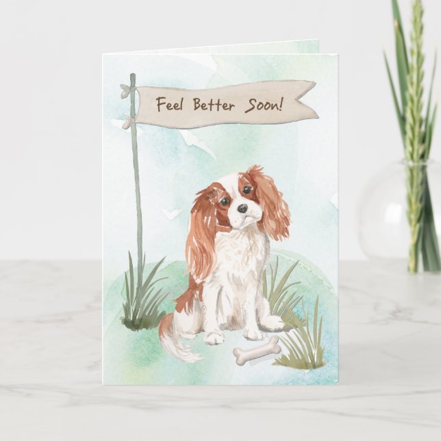 Cavalier Kung Charles Spain känner bättre för Hund Kort (Framsida)