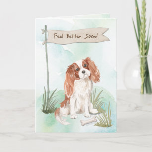 Cavalier Kung Charles Spain känner bättre för Hund Kort