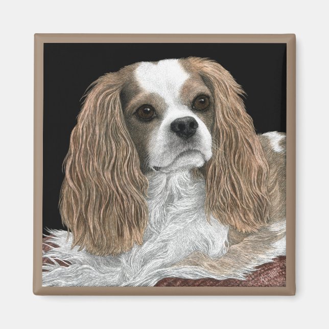 Cavalier Kung Charles Spain Magnet - Bella (Framsidan)