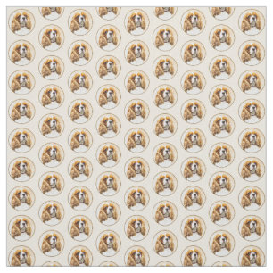 Cavalier Kung Charles Spain Original Paine Tyg