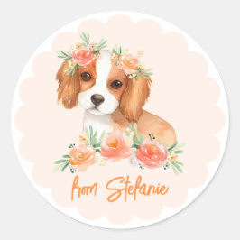 Cavalier Kung Charles Spain Peach Birthday Runt Klistermärke