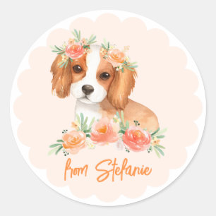 Cavalier Kung Charles Spain Peach Birthday Runt Klistermärke