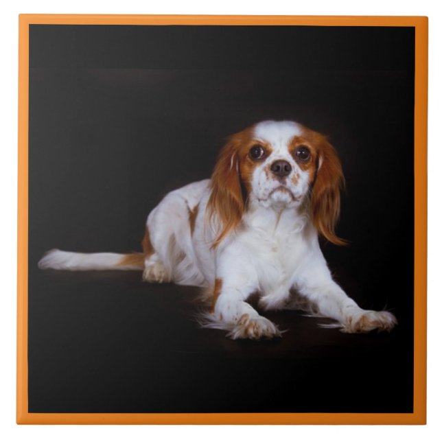 Cavalier Kung Charles Spain, Pet Kärlek, KEEPSAKE Kakelplatta (Framsidan)