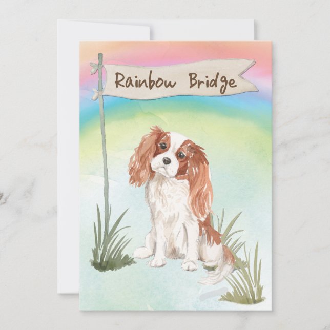 Cavalier Kung Charles Spain Pet Sympathy Kort (Framsida)