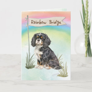 Cavalier Kung Charles Spain Pet Sympathy Kort