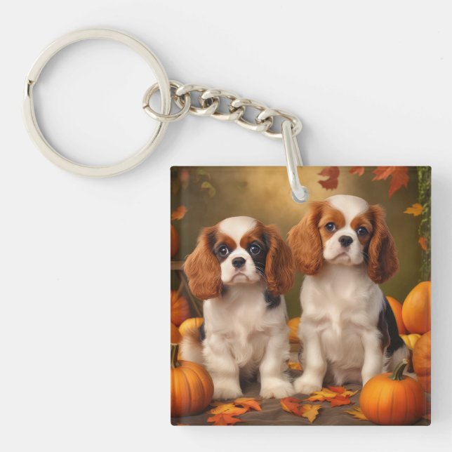 Cavalier Kung Charles Spain Puppy Autumn Pumpkin (Framsidan)