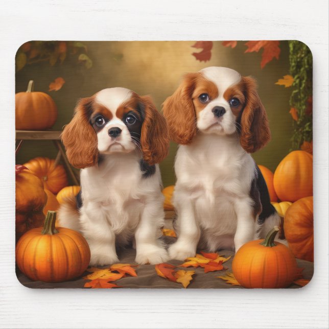 Cavalier Kung Charles Spain Puppy Autumn Pumpkin Musmatta (Framsidan)