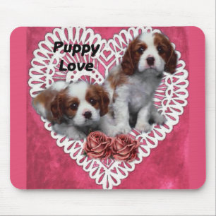 Cavalier Kung Charles Spain Puppy Kärlek Musmatta