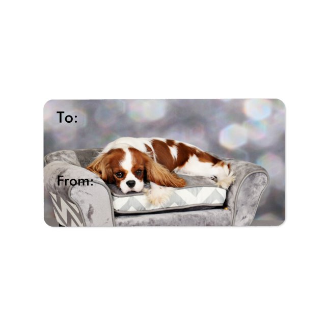 Cavalier Kung Charles Spain - Remington Adressetikett (Framsidan)