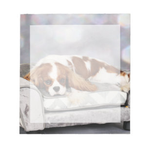 Cavalier Kung Charles Spain - Remington Anteckningsblock