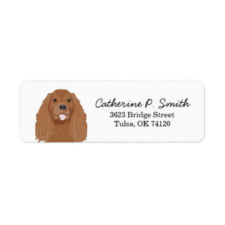 Cavalier Kung Charles Spain Returadress Etikett