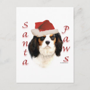 Cavalier Kung Charles Spain Santa Tassar Helg Vykort