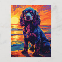 Cavalier Kung Charles Spain Sunset / Sunrise