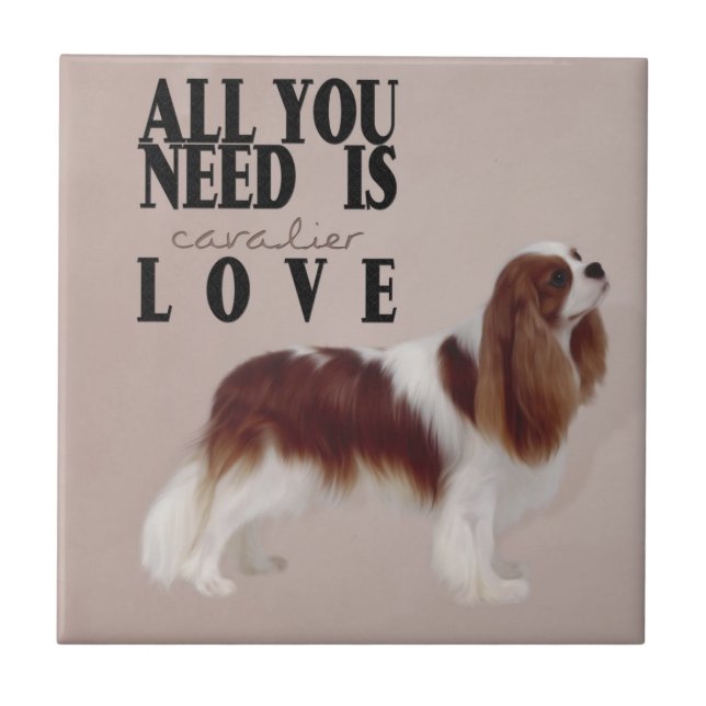 Cavalier Kung Charles Spain tile Kakelplatta (Framsidan)