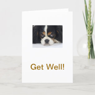 Cavalier Kung Charles Spain Tri Get well Card Kort