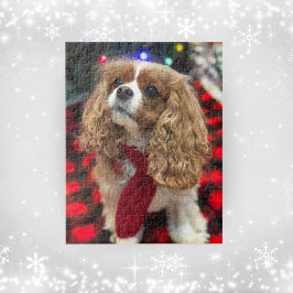 Cavalier Kung Charles spaneler med vinter Scarf Pussel
