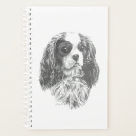 Cavalier Kung Charles Spaniel