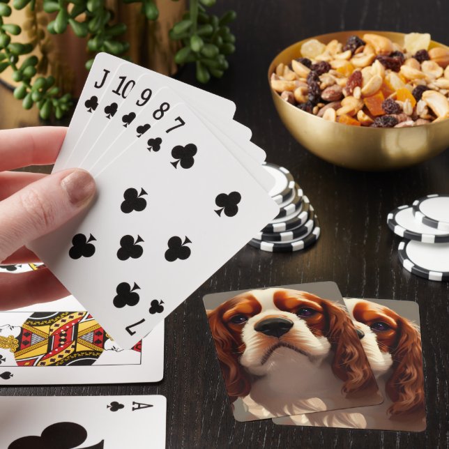 Cavalier Kung Charles Spaniel AI5 Casinokort (På plats)