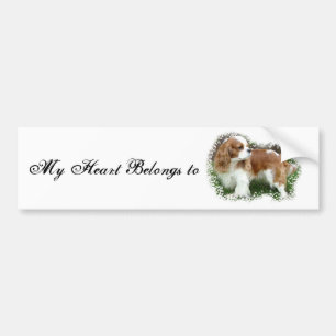 Cavalier Kung Charles Spaniel Bildekal