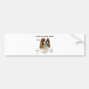Cavalier Kung Charles Spaniel (Blenheim) Historik Bildekal