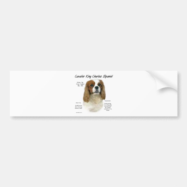 Cavalier Kung Charles Spaniel (Blenheim) Historik Bildekal (Framsidan)