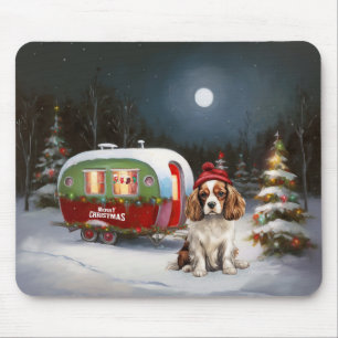 Cavalier Kung Charles Spaniel Caravan jul Musmatta