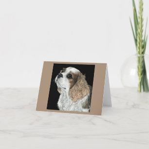 Cavalier Kung Charles Spaniel Card - max Kort