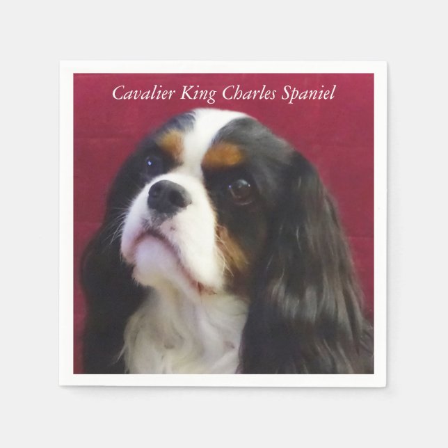 Cavalier Kung Charles Spaniel Cocktail Napkins Pappersservett (Framsidan)