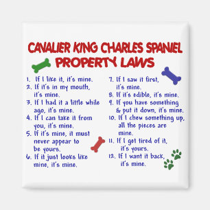 CAVALIER KUNG CHARLES SPANIEL Egendom LAGSTIFTNING Magnet