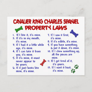 CAVALIER KUNG CHARLES SPANIEL Egendom LAGSTIFTNING Vykort