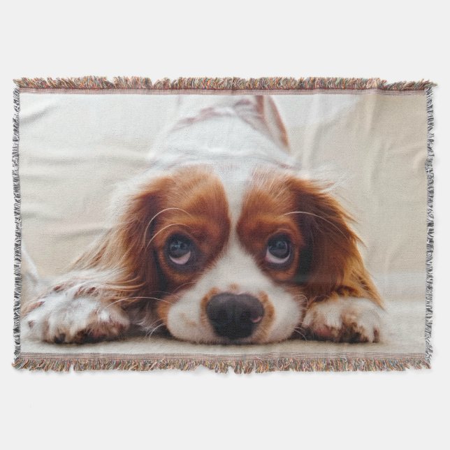 Cavalier Kung Charles Spaniel Filt (Framsidan)