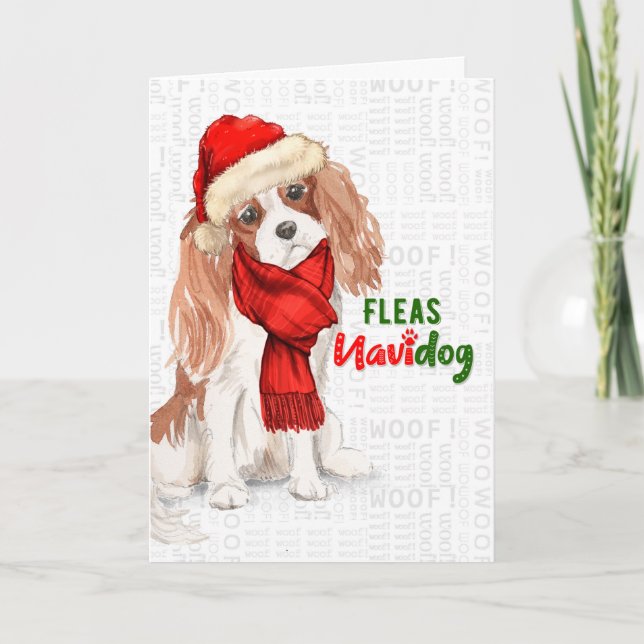 Cavalier Kung Charles Spaniel Fleas NaviDOG Helgkort (Framsida)